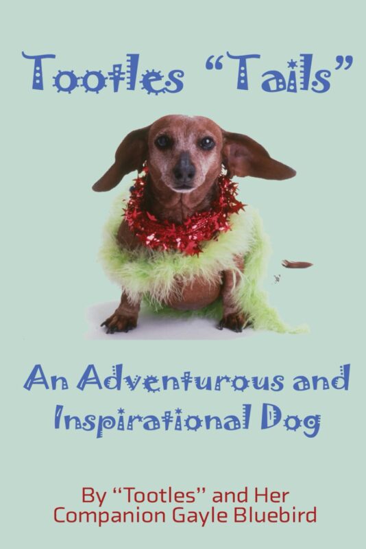 Tootles Tails: An Adventurous and Inspirational Dog