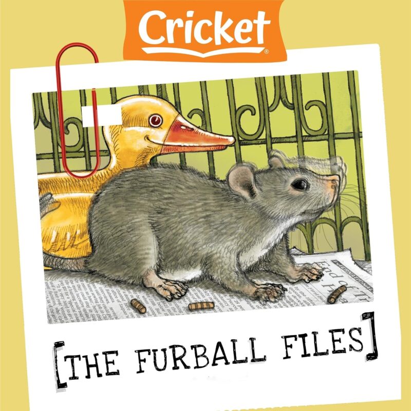 The Furball Files